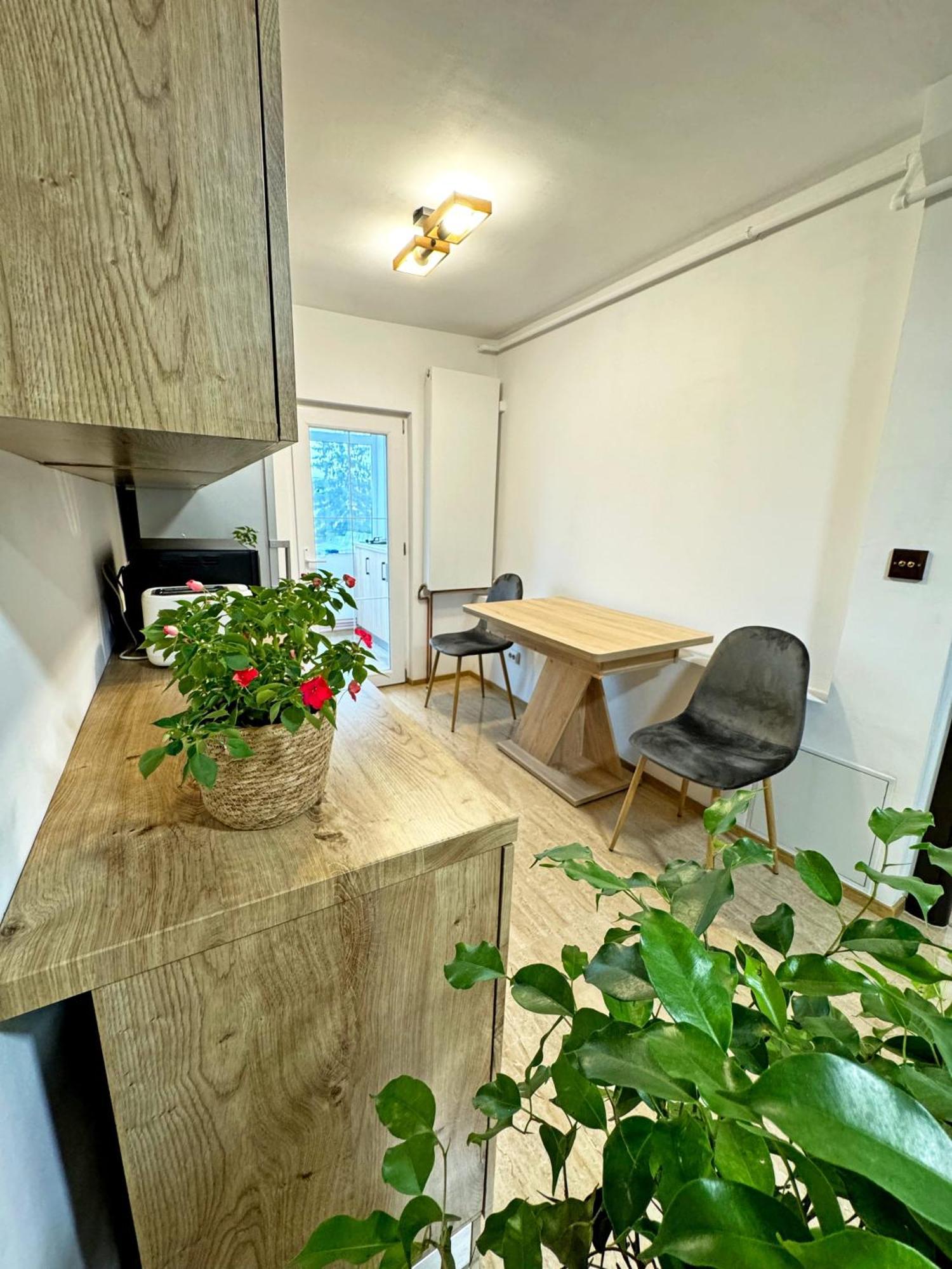 Ultracentral Apartment Târgu Jiu Exterior photo